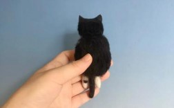 羊毛毡创意能玩出哪些花样？