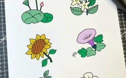 简笔画植物技巧有哪些关键要点？