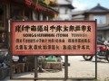 龙胜镇摩托维修点具体位置在哪？附近有推荐的吗？