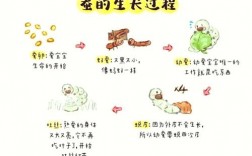 还价技巧蚕食，还价方法