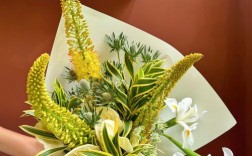 植物如何化身创意作品的灵感源泉？