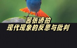 摄影技巧反思是必须的吗？