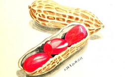 花生创意画？花生壳也能画画吗？