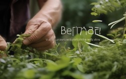 2025最新植物压枝技巧视频，新手必看？