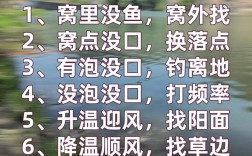 秋分后钓鱼技巧