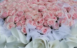 创意时尚玫瑰，创意时尚玫瑰花图片