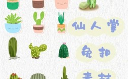 仙人掌创意设计