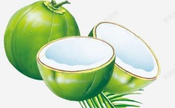 椰子能玩出哪些创意花样？