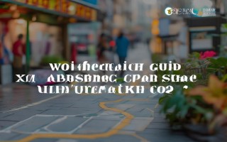 如何查询小霸王维修点？快速指南