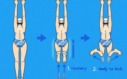 蛙泳收腿怎么做才正确高效？