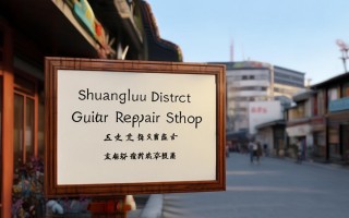 双流区吉他维修点地址在哪里