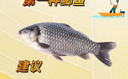 钓加吉鱼技巧，钓加吉鱼技巧视频