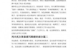 托尔斯泰 写作技巧