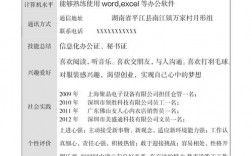 简历书写有哪些实用技巧？