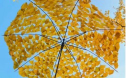 创意雨伞照片，藏着哪些惊喜？