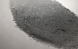 2025年指纹创意图片最新趋势有哪些？