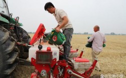 抢种抢收有哪些高效技巧？