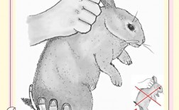 春季捕野兔技巧