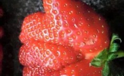 这些奇葩创意图，脑洞到底有多大？