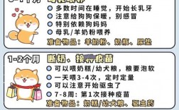 96种喂食技巧具体包含哪些实用方法？新手如何快速掌握核心教程避免喂养误区？