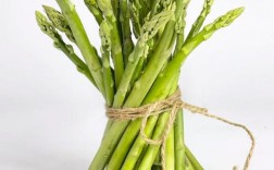 芦笋有哪些创意吃法？