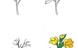 简笔画植物技巧，简笔画植物技巧图片