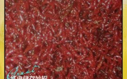 红虫打窝怎么做？掌握这几个技巧，诱鱼快且留鱼久！