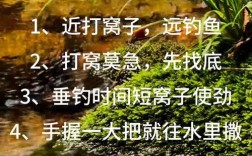 筏竿钓鲫的技巧