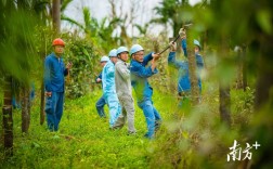 团队过电网技巧有哪些？图片解法看这里！
