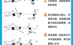仰泳游泳技巧，仰泳游泳技巧视频教程