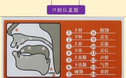 后口腔发音小技巧，后口腔发音小技巧是什么