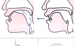 如何轻松掌握后口腔发音小技巧？
