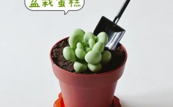 盆栽创意蛋糕，盆栽创意蛋糕图片