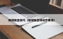 排球抛垫技巧（排球抛垫球动作要领）