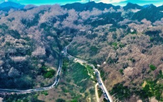 镇江市键盘维修点地址在哪里