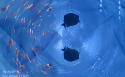 海洋创意海报如何传递海洋故事？