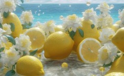 柠檬创意联想图片，藏着什么奇妙构思？