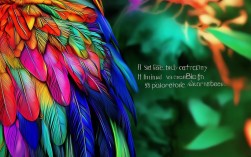 孔雀创意作品为何刷爆全网？