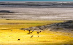 视觉中国创意图库，创意从何而来？