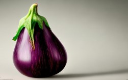 茄子创意造型，如何巧手变出惊艳模样？