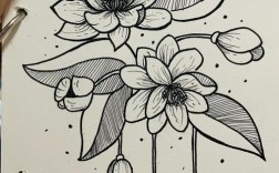 花卉创意装饰画黑白有何独特魅力？