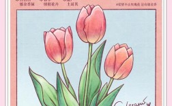 郁金香创意插画