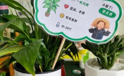 幼儿园种植区创意名，幼儿园种植区创意名称