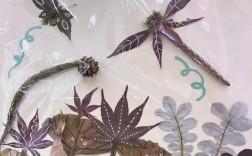 植物标本创意图如何拍出高级感？