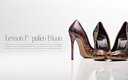 2025图形创意设计高跟鞋教案最新更新了吗？