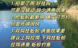 广东冬季钓鱼技巧有哪些？