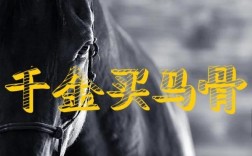 买马真有技巧？如何稳赢？