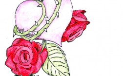 花创意画究竟如何突破传统绘画边界，用花的形态与色彩碰撞出怎样的艺术新可能？