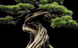 松柏创意，如何点亮品牌新灵感？