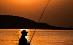 创意钓鱼图片如何突破传统视觉束缚？大全中藏着哪些颠覆想象的钓鱼脑洞？